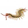 DAM - Figurine de collection - Collecta - Insectes - Mille pattes