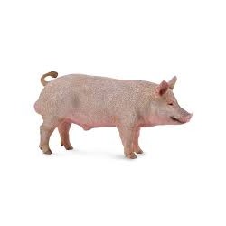 DAM - Figurine de collection - Collecta - Animaux de la ferme - Sanglier