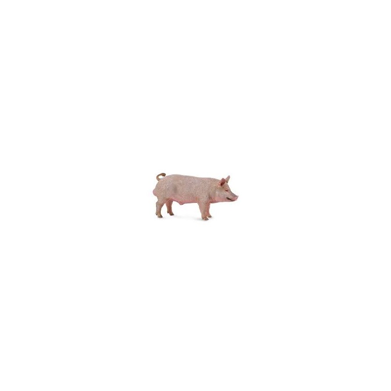 DAM - Figurine de collection - Collecta - Animaux de la ferme - Sanglier