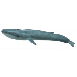 DAM - Figurine de collection - Collecta - Animaux marins - Baleine bleue