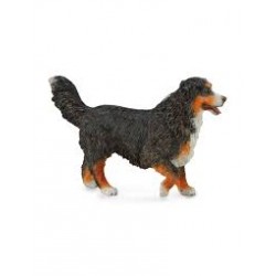 DAM - Figurine de collection - Collecta - Chiens - Bouvier bernois