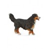 DAM - Figurine de collection - Collecta - Chiens - Bouvier bernois