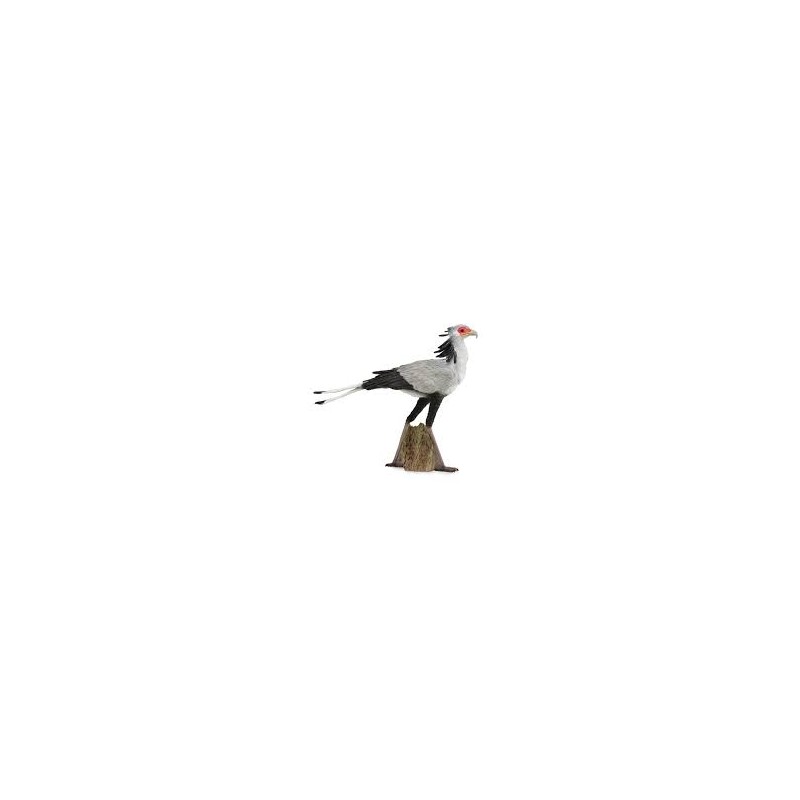 DAM - Figurine de collection - Collecta - Animaux sauvages - Oiseau secrétaire