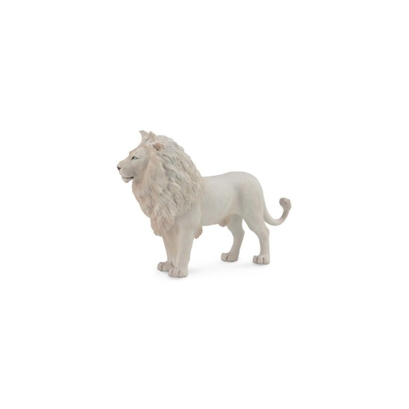 DAM - Figurine de collection - Collecta - Animaux sauvages - Lion blanc