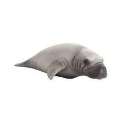 DAM - Figurine de collection - Collecta - Animaux marins - Dugong