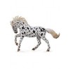 DAM - Figurine de collection - Collecta - Chevaux - Jument Knabstrup léopard noir