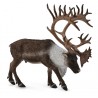 DAM - Figurine de collection - Collecta - Animaux de la forêt - Caribou des bois