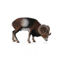 DAM - Figurine de collection - Collecta - Animaux sauvages - Mouflon