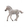 DAM - Figurine de collection - Collecta - Chevaux - Poulain Fjord gris