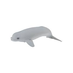 DAM - Figurine de collection - Collecta - Animaux marins - Beluga veau