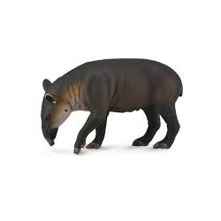 DAM - Figurine de collection - Collecta - Animaux sauvages - Tapir