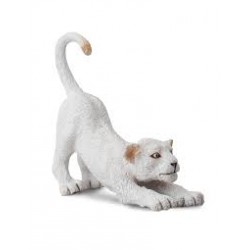 DAM - Figurine de collection - Collecta - Animaux sauvages - Lionceau blanc s'étirant