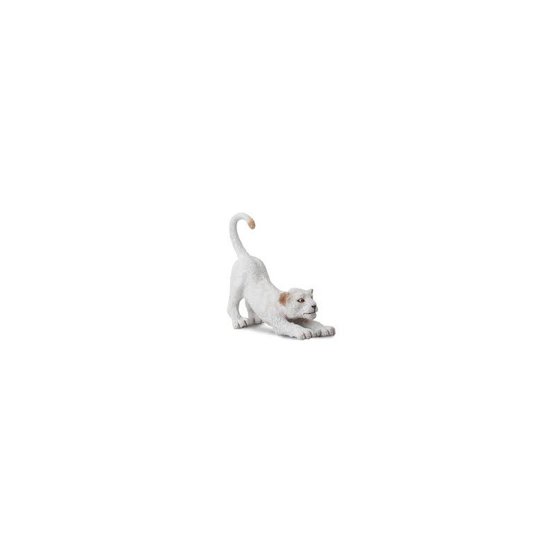 DAM - Figurine de collection - Collecta - Animaux sauvages - Lionceau blanc s'étirant