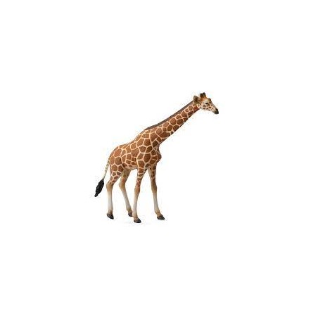 DAM - Figurine de collection - Collecta - Animaux sauvages - Girafe