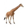 DAM - Figurine de collection - Collecta - Animaux sauvages - Girafe