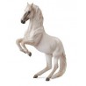 DAM - Figurine de collection - Collecta - Chevaux - Etalon Lipizzaner