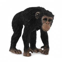 DAM - Figurine de collection - Collecta - Animaux sauvages - Chimpanzé femelle