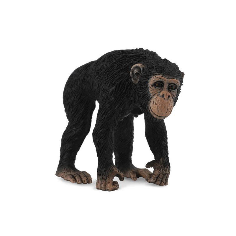 DAM - Figurine de collection - Collecta - Animaux sauvages - Chimpanzé femelle