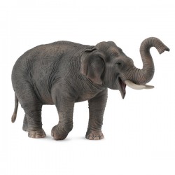DAM - Figurine de collection - Collecta - Animaux sauvages - Eléphant d'Asie