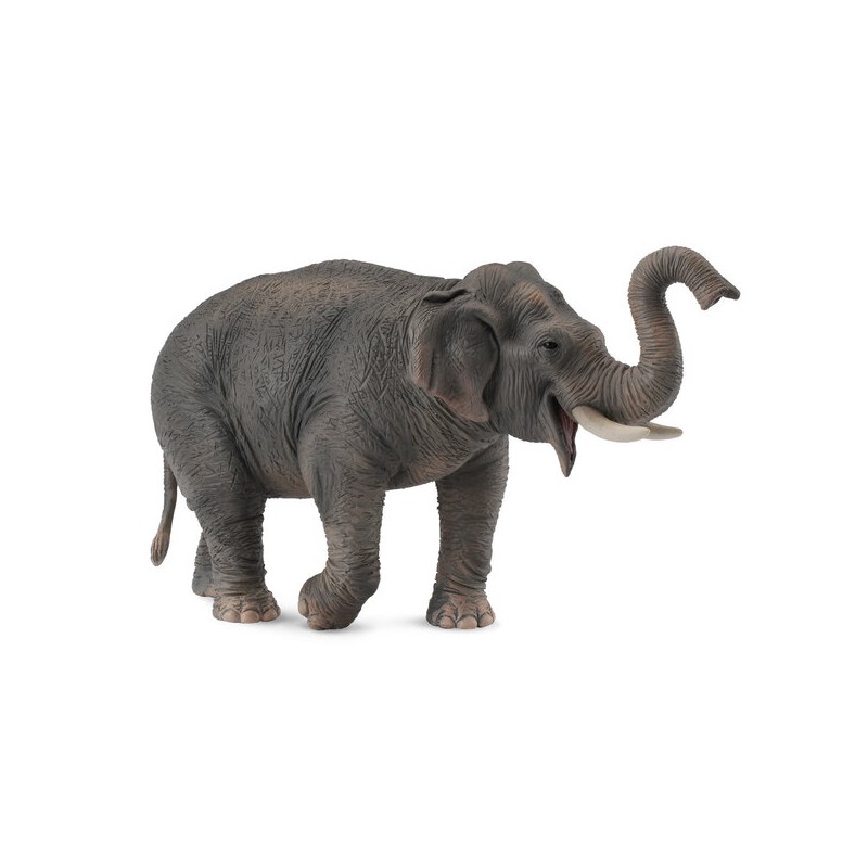 DAM - Figurine de collection - Collecta - Animaux sauvages - Eléphant d'Asie