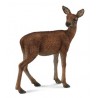 DAM - Figurine de collection - Collecta - Animaux de la forêt - Biche rouge