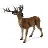 DAM - Figurine de collection - Collecta - Animaux de la forêt - Chevreuil rouge