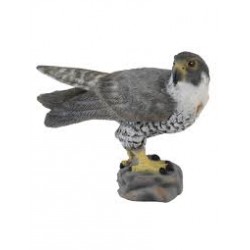 DAM - Figurine de collection - Collecta - Animaux sauvages - Faucon pèlerin