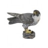 DAM - Figurine de collection - Collecta - Animaux sauvages - Faucon pèlerin