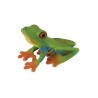 DAM - Figurine de collection - Collecta - Insectes - Grenouille aux yeux rouges