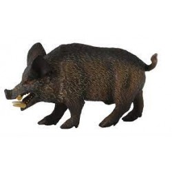 DAM - Figurine de collection - Collecta - Animaux de la forêt - Sangler