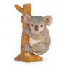 DAM - Figurine de collection - Collecta - Animaux sauvages - Koala montant