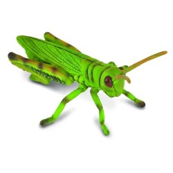 DAM - Figurine de collection - Collecta - Insectes - Sauterelle