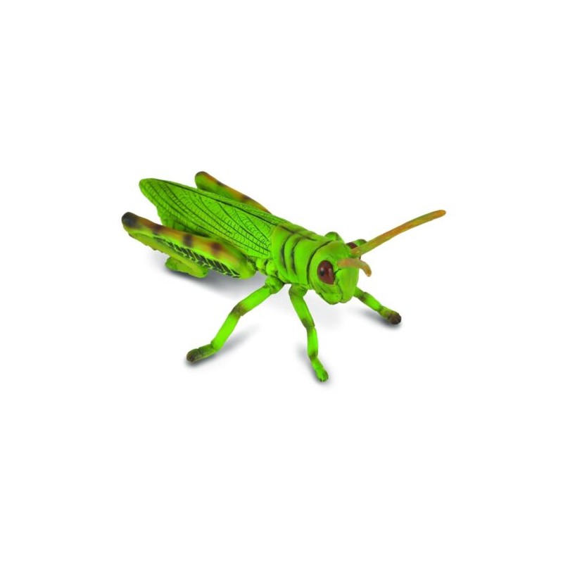 DAM - Figurine de collection - Collecta - Insectes - Sauterelle
