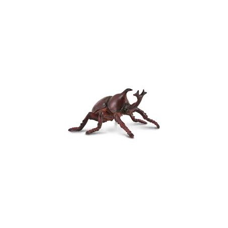DAM - Figurine de collection - Collecta - Insectes - Scarabée nasicorne