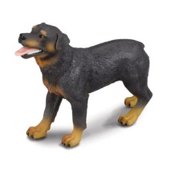 DAM - Figurine de collection - Collecta - Chiens - Rottweiler