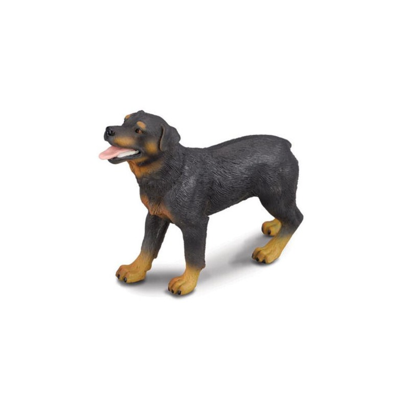 DAM - Figurine de collection - Collecta - Chiens - Rottweiler