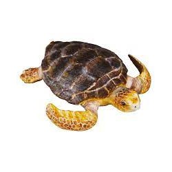 DAM - Figurine de collection - Collecta - Animaux marins - Tortue