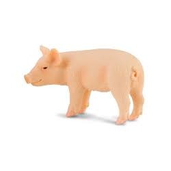 DAM - Figurine de collection - Collecta - Animaux de la ferme - Cochonnet debout