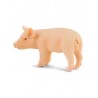 DAM - Figurine de collection - Collecta - Animaux de la ferme - Cochonnet debout