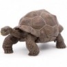 Papo - Figurine - 50161 - La vie sauvage - Tortue des Galápagos