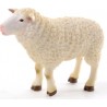 DAM - Figurine de collection - Collecta - Animaux de la ferme - Mouton