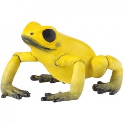 Papo - Figurine - 50174 - La vie sauvage - Grenouille équatoriale jaune