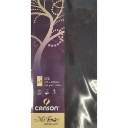 Canson - Blister de 5 cartes simples mi teintes - Noir - 105x210 mm - 160g/m2