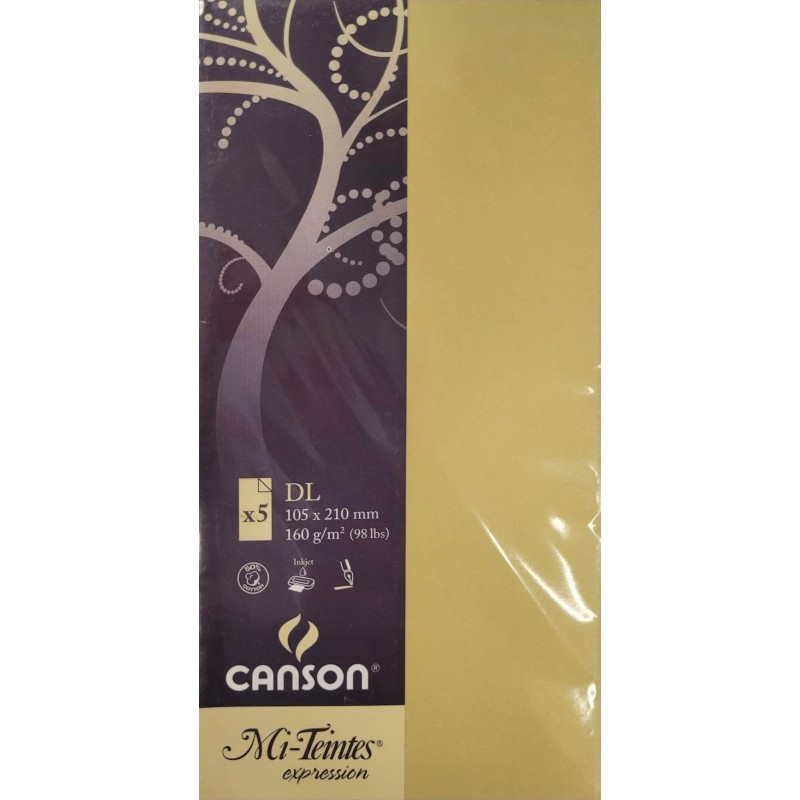 Canson - Blister de 5 cartes simples mi teintes - Anis - 105x210 mm - 160g/m2