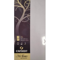 Canson - Blister de 5 cartes simples mi teintes - Lilas - 105x210 mm - 160g/m2