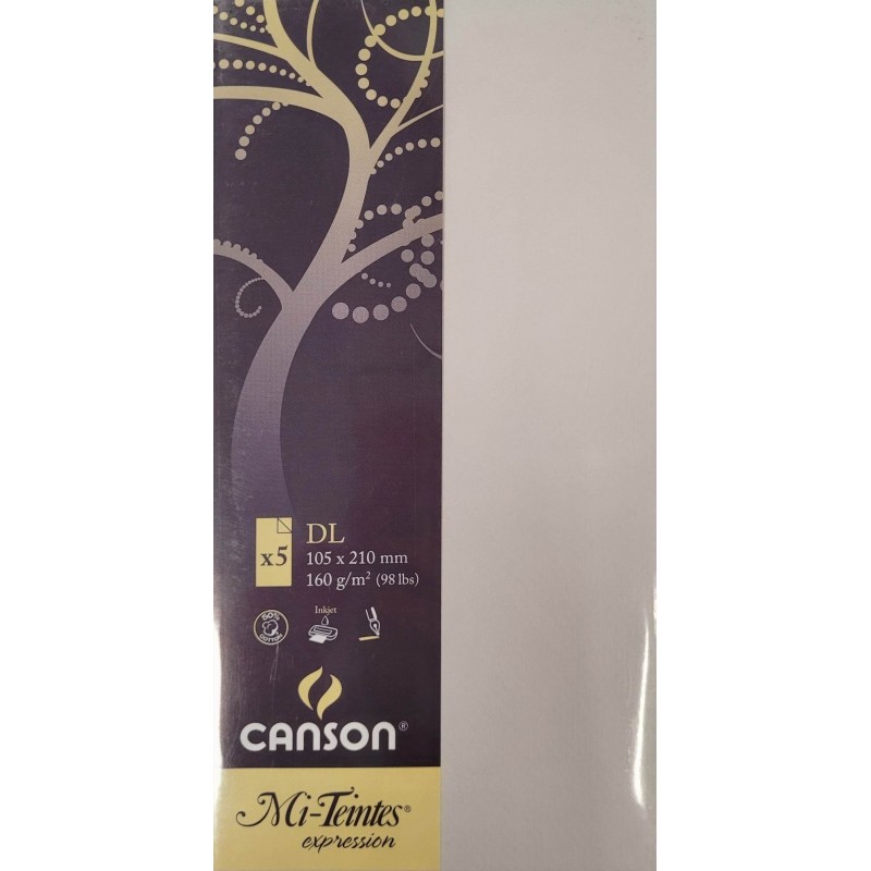 Canson - Blister de 5 cartes simples mi teintes - Gris perle - 105x210 mm - 160g/m2