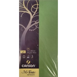 Canson - Blister de 5 enveloppes mi teintes - Vert pomme - 110x220 mm - 160g/m2