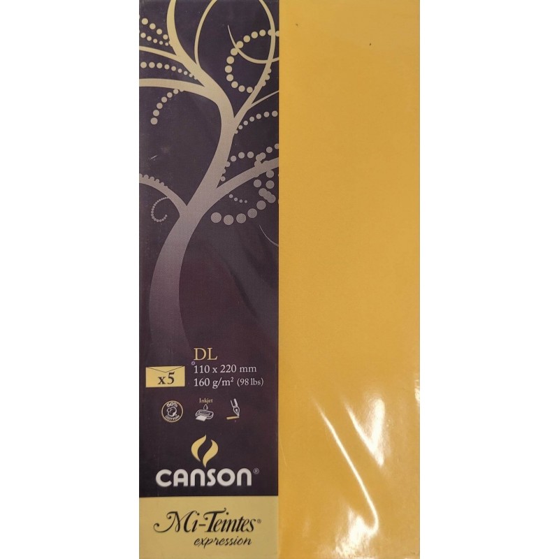Canson - Blister de 5 enveloppes mi teintes - Bouton d'or - 110x220 mm - 160g/m2