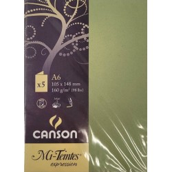 Canson - Blister de 5 cartes pliées mi teintes - Vert amande - 105x148 mm - 160g/m2