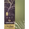 Canson - Blister de 5 cartes pliées mi teintes - Vert amande - 105x148 mm - 160g/m2